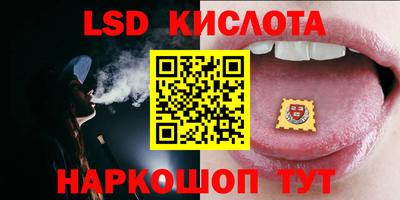шишки Конаково