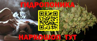 шишки Конаково