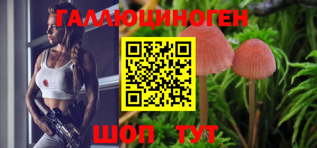 дарнет шоп  Вход с VPN  Куйбышев  Галлюциногенные грибы Psilocybine cubensis  Псилоцибиновые грибы прущие грибы 